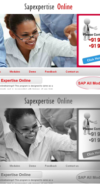 Sapexpertise Online Trainings