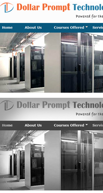 Dollar Prompt