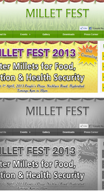 Millet Fest