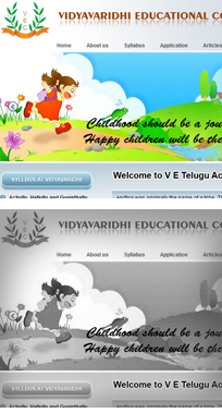 Vidyavaridhi Educational Consultant